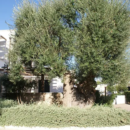מלון דירות Messapia 4*